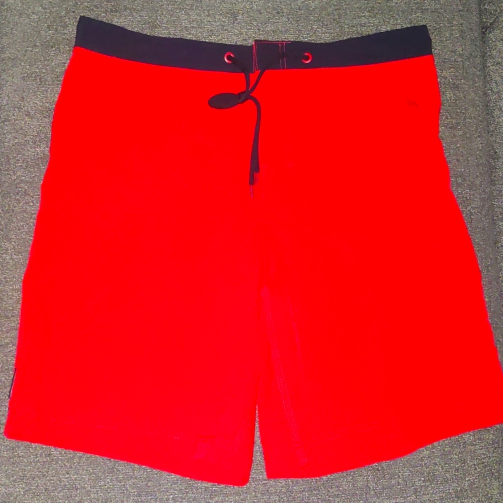 Men's Speedo Swim Shorts